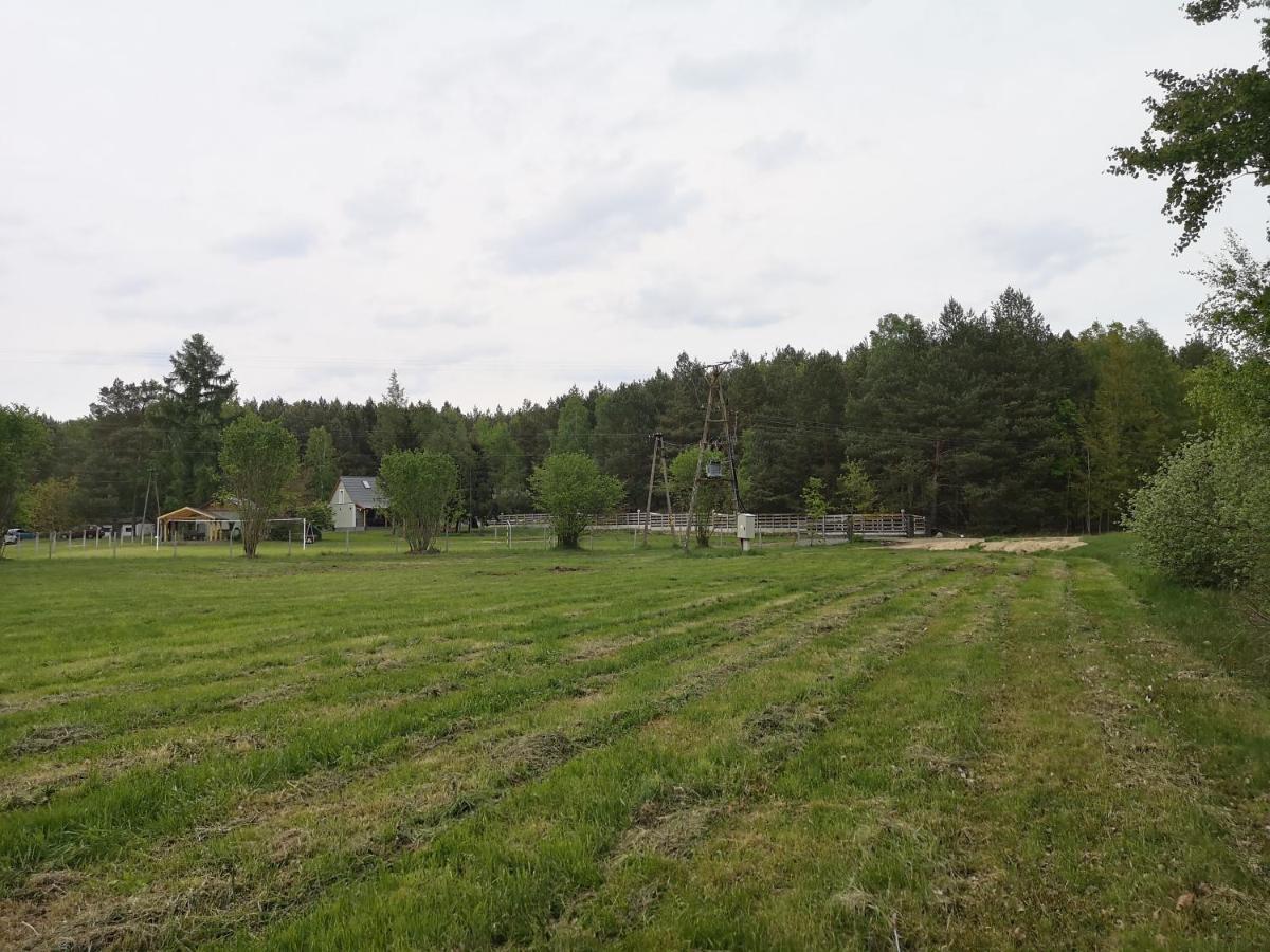 Agroturystyka Plener Miedzichowo ภายนอก รูปภาพ