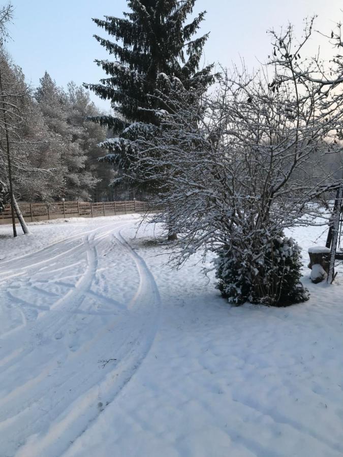 Agroturystyka Plener Miedzichowo ภายนอก รูปภาพ